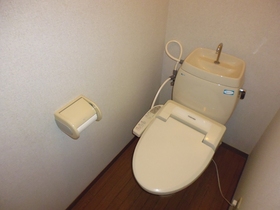 Toilet. It is a popular cleaning function with!