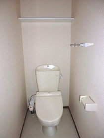 Toilet. toilet This cleaning function with