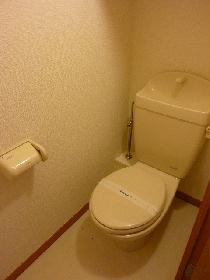 Toilet. Separate toilet