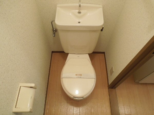 Toilet. Toilet