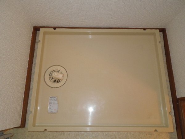 Washroom. Laundry Area