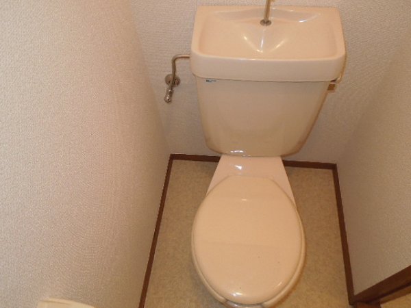 Toilet. Toilet