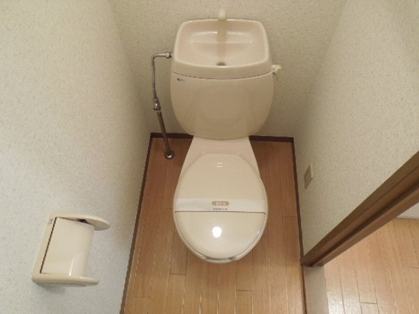 Toilet. Toilet