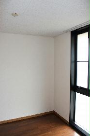 Living and room. Room (2)