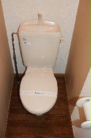 Toilet. Separate toilet