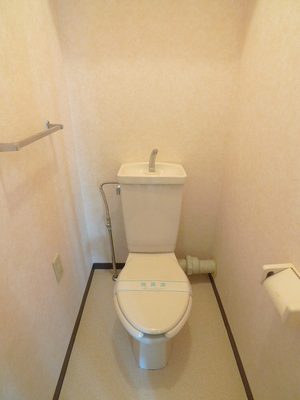 Toilet. Toilet