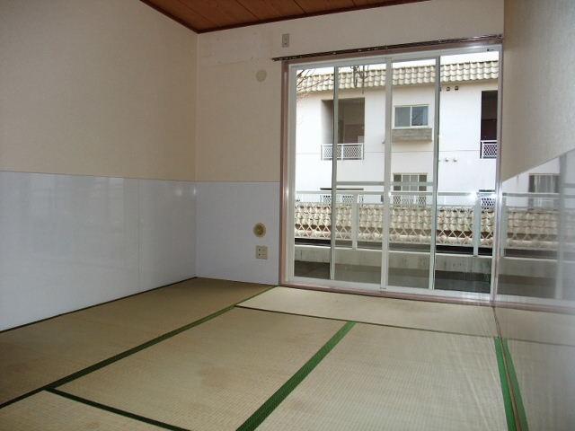 Living and room. Japanese style room