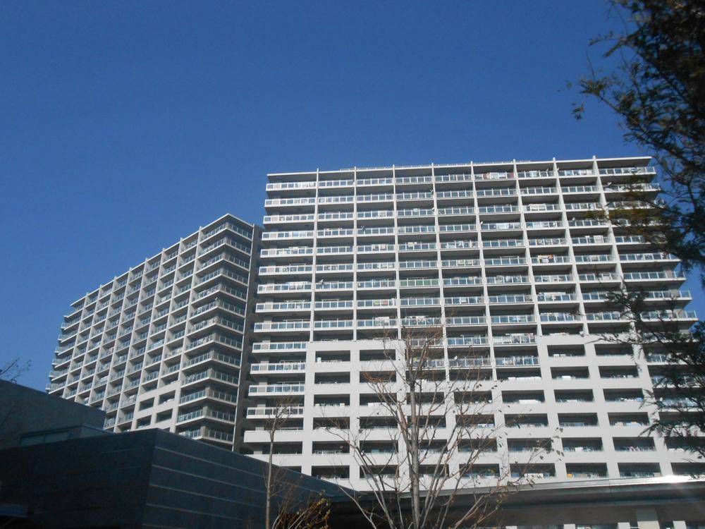 Local appearance photo. Local (11 May 2013) Shooting