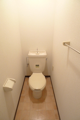 Toilet. Toilet