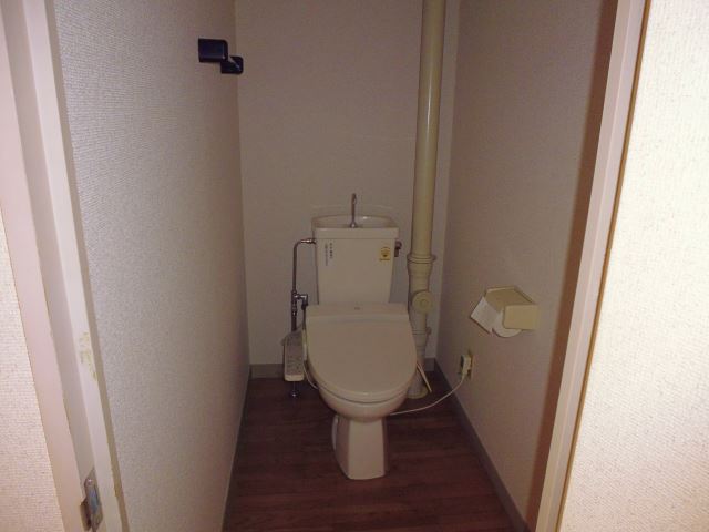 Toilet. Toilet