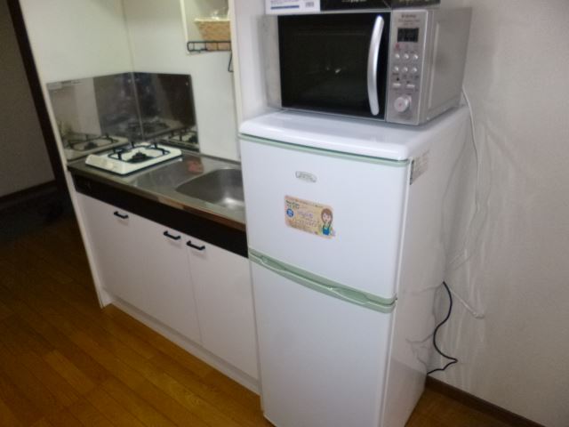 Kitchen. microwave, refrigerator, Gas stove 1-neck with a kitchen