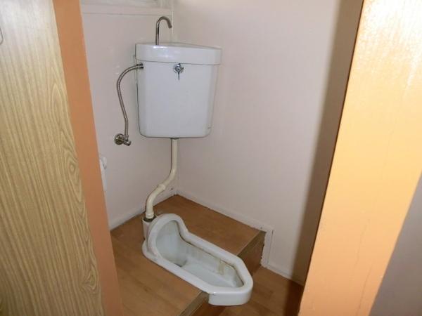 Toilet. Toilet