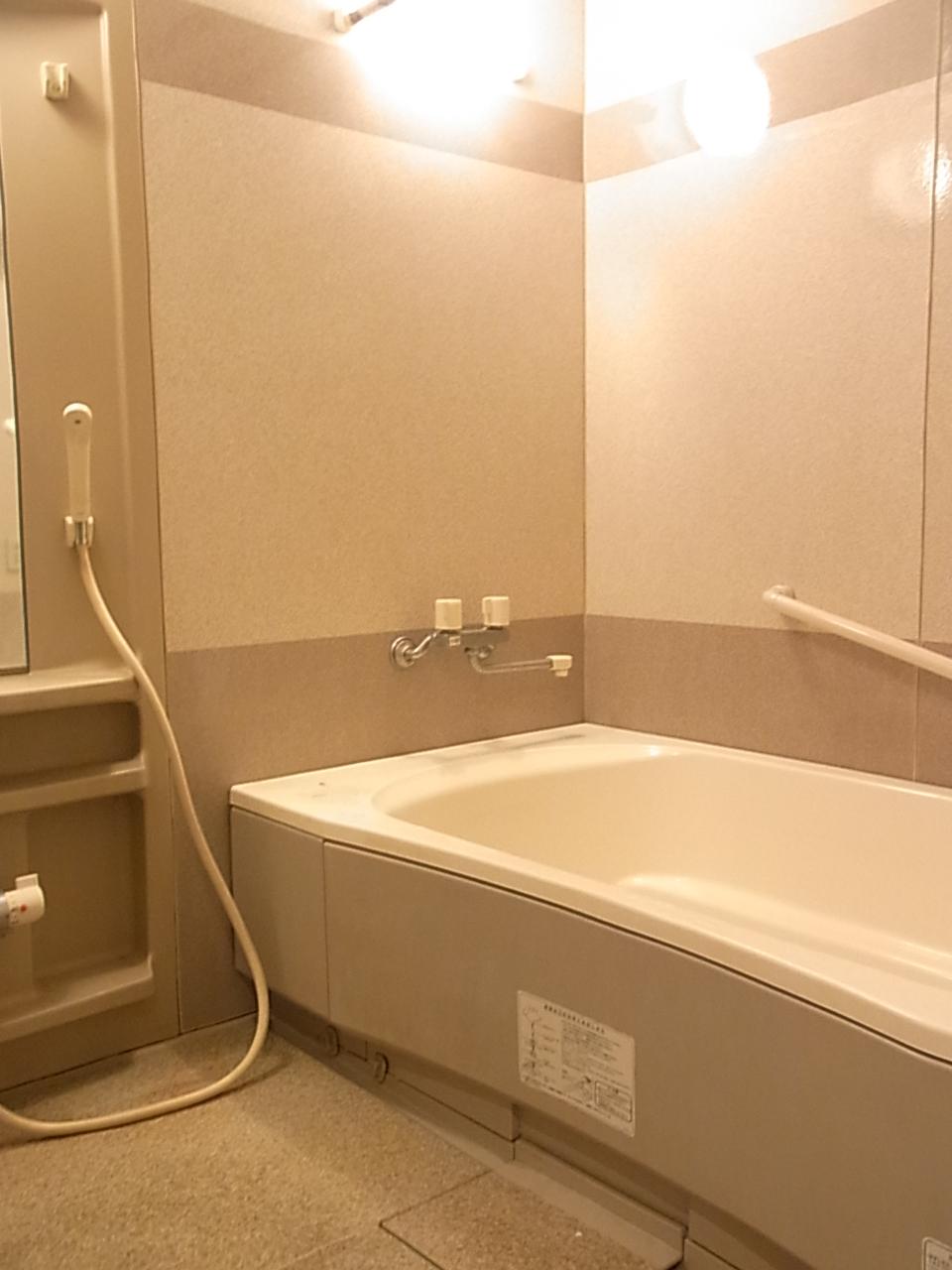 Bathroom. 1620 spacious bathroom