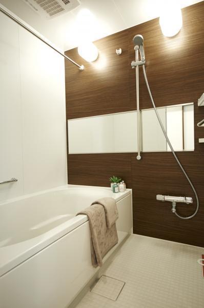 Bathroom. Indoor (11 May 2013) Shooting