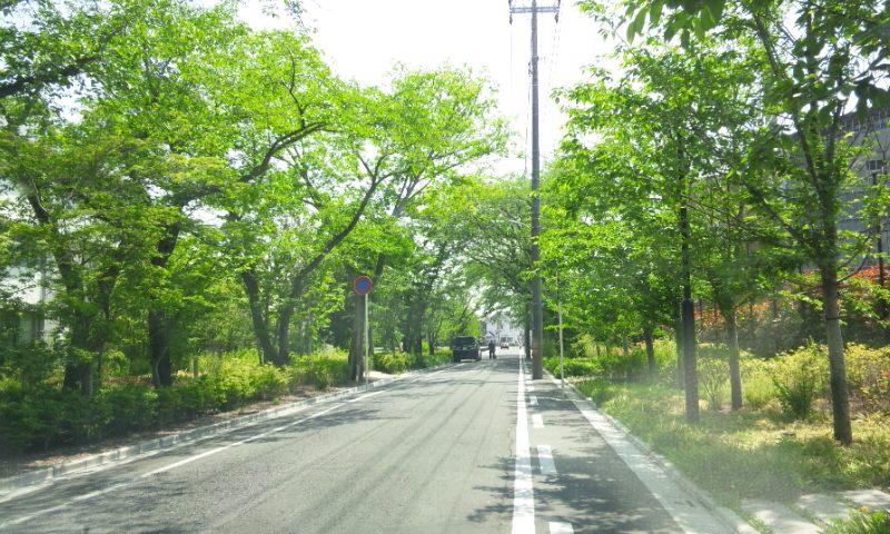 Other Environmental Photo. Higashisugano 2-17 Showa near school 517m to
