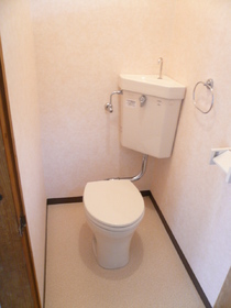 Toilet. It is a point of the room to choose the cleanliness of the surrounding water