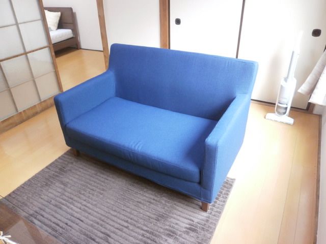 Living and room. Two-seater sofa