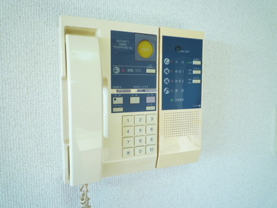 Other. It will be intercom with apartment.