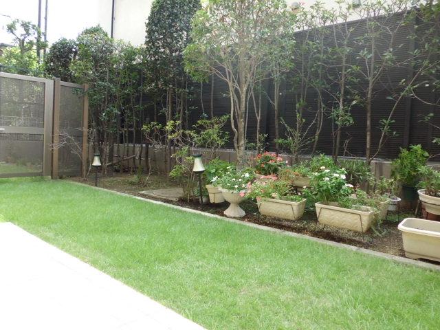 Garden. Local (September 2013) shooting dedicated garden