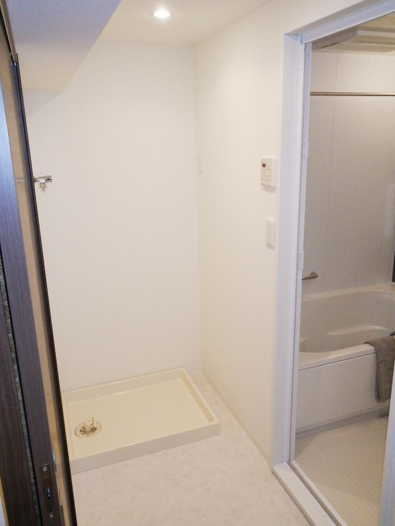 Wash basin, toilet. It is the Laundry Area