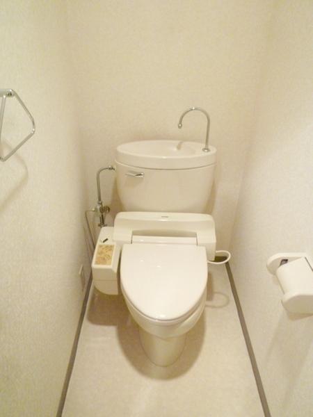 Toilet. Only wider with bidet