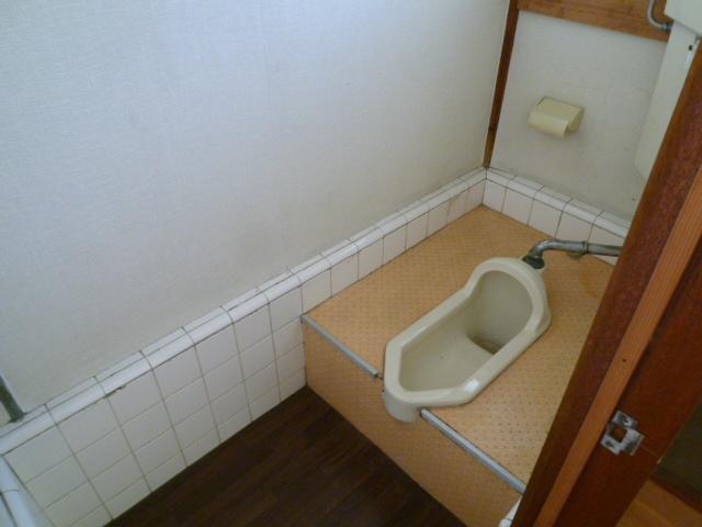 Toilet. Japanese style of I