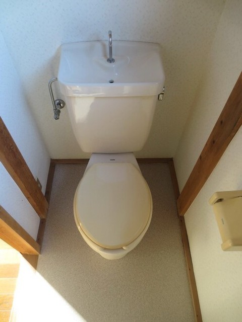 Toilet. Your easy-care toilet