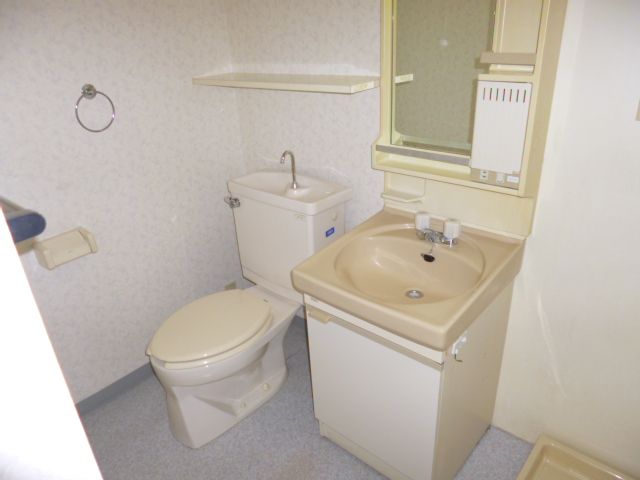 Washroom. Wash basin and toilet