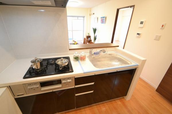 Kitchen. Indoor (11 May 2013) Shooting