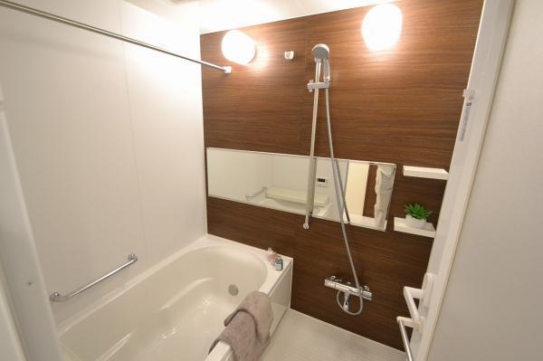 Bathroom. Indoor (11 May 2013) Shooting