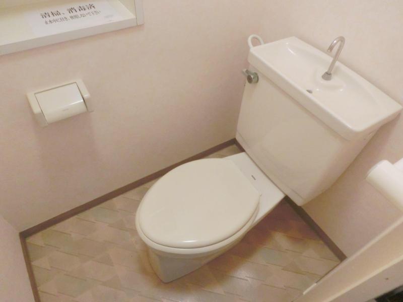 Toilet. It is a handy toilet with a shelf.