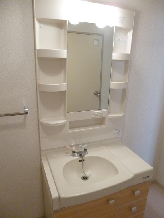 Washroom. Large washbasin glad for women