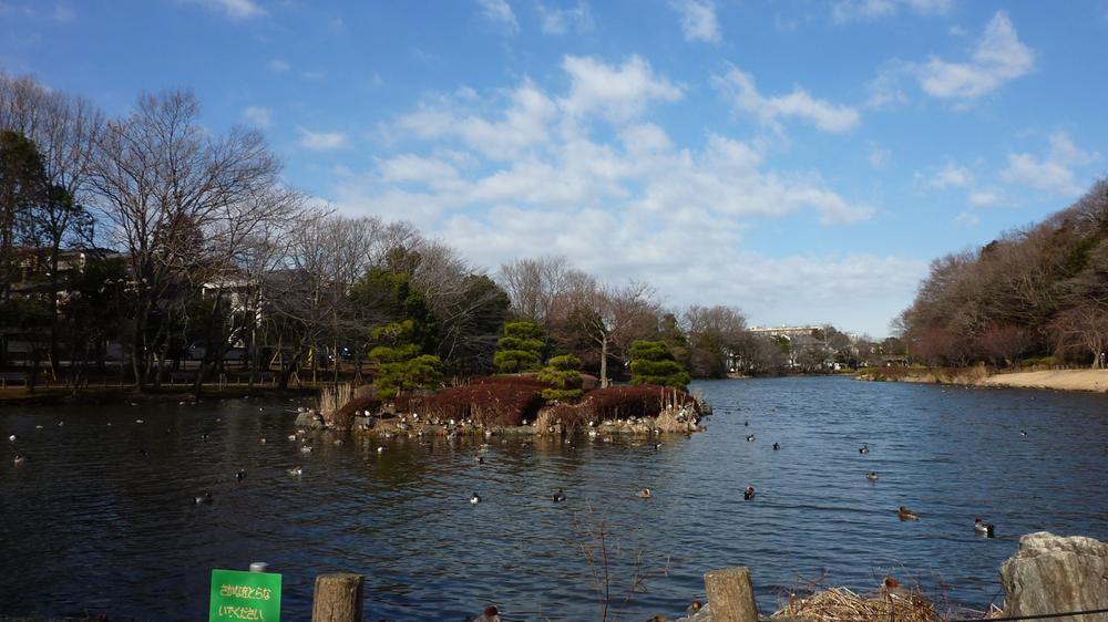 park. Water shield 950m until the pond green space