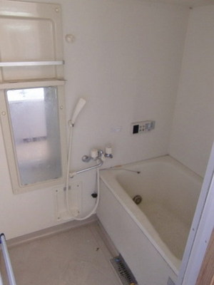 Bath. Bathroom with cleanliness.