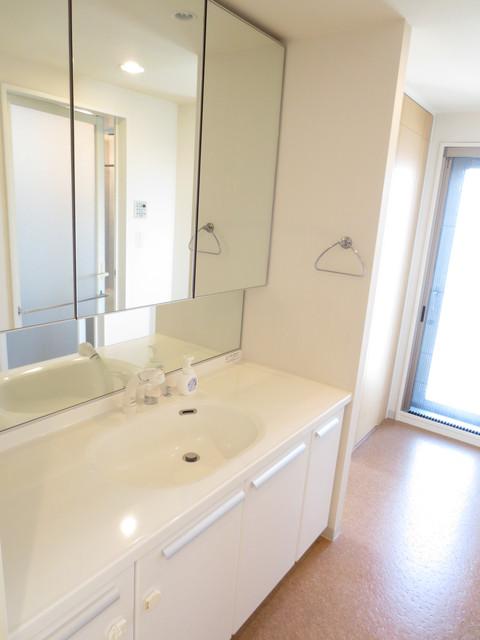 Wash basin, toilet. Washroom