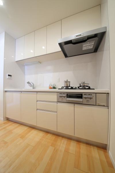 Chiba Prefecture, Ichikawa Shiko 2