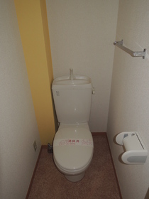 Toilet. WC with cleanliness