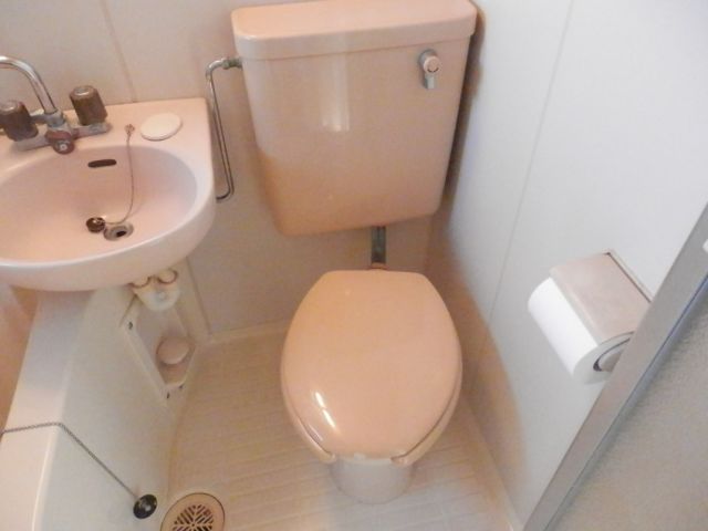 Toilet. Toilet