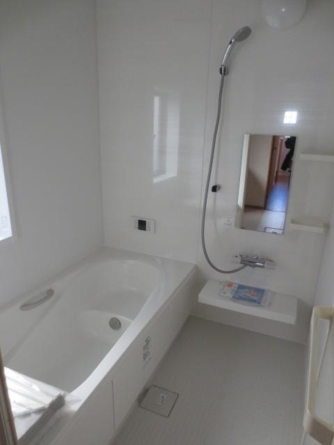 Bathroom. Indoor (10 May 2013) Shooting