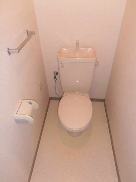 Toilet. Same specifications room