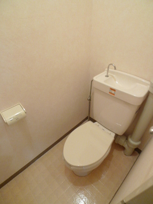 Toilet. Toilet