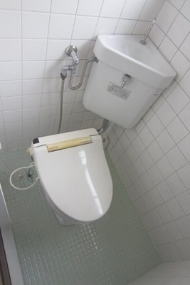 Toilet. Also has a bidet. Window with bright toilet.