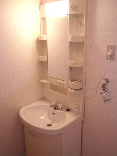 Washroom. It is very easy to use independent washbasin with mirror.