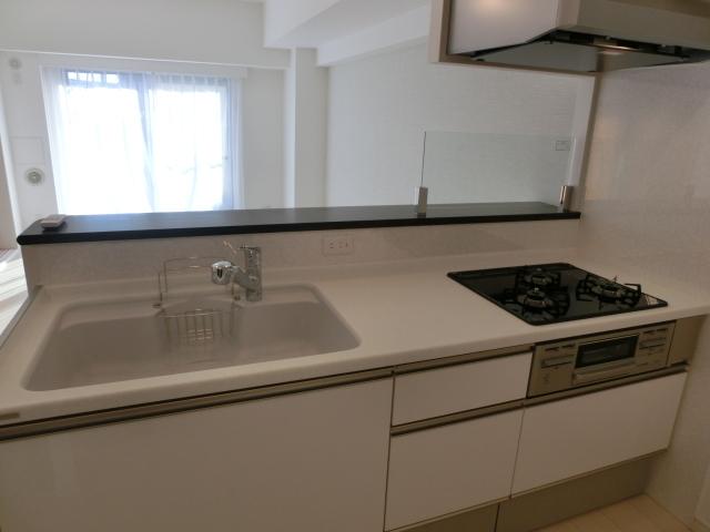 Kitchen. Indoor (11 May 2013) Shooting