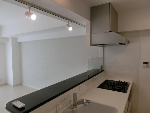 Living. Indoor (11 May 2013) Shooting