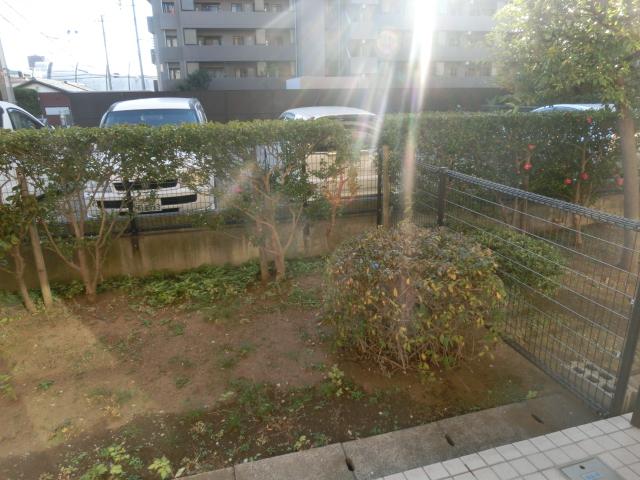 Garden. Local (11 May 2013) Shooting