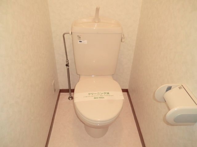 Toilet. Toilet