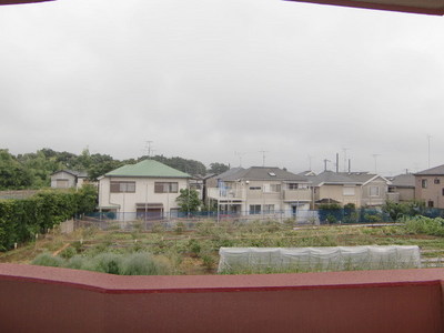 View. Neighborhood is a quiet residential area.