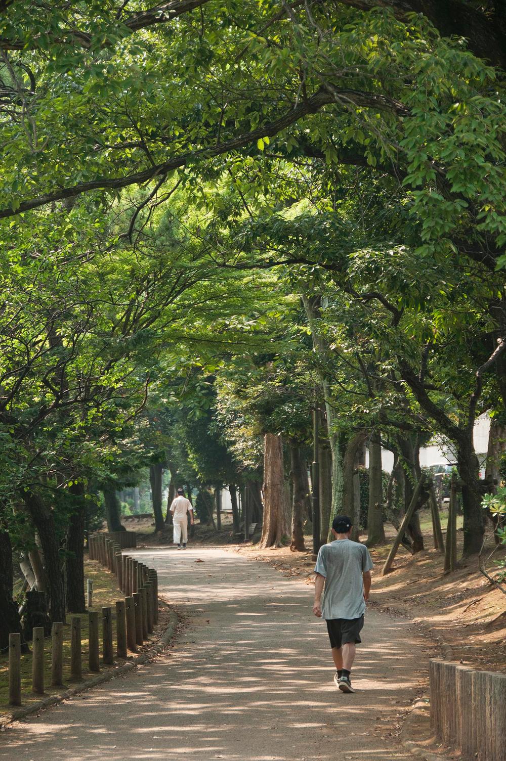Other. Jun Nazi park