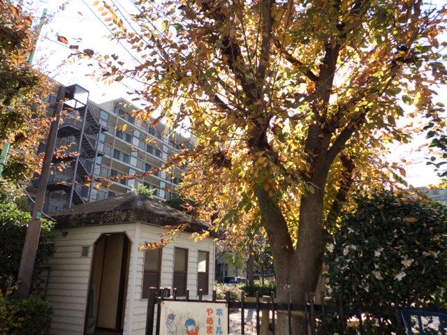 Local appearance photo. Local (11 May 2013) Shooting